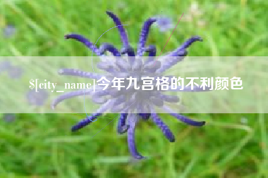 拉萨今年九宫格的不利颜色