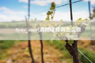 拉萨消防证查询怎么查