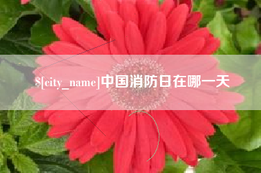 拉萨中国消防日在哪一天
