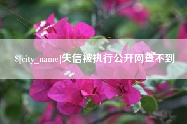 拉萨失信被执行公开网查不到