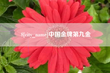 拉萨中国金牌第九金