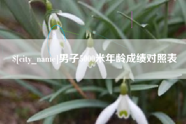 拉萨男子5000米年龄成绩对照表