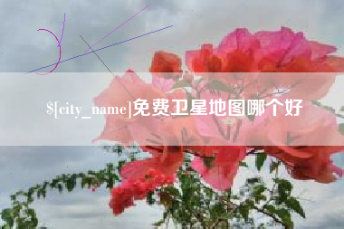 拉萨免费卫星地图哪个好