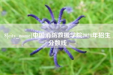 拉萨中国消防救援学院2024年招生分数线