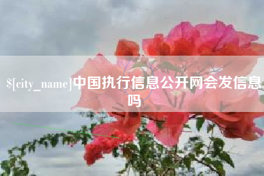拉萨中国执行信息公开网会发信息吗