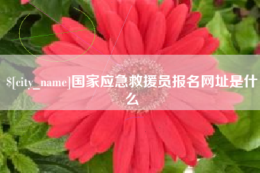 拉萨国家应急救援员报名网址是什么