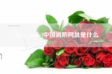 拉萨中国消防网址是什么