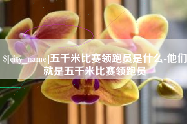 拉萨五千米比赛领跑员是什么-他们就是五千米比赛领跑员
