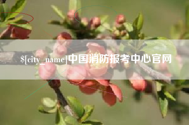拉萨中国消防报考中心官网