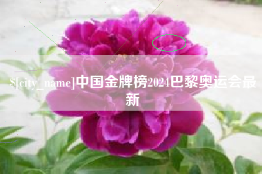 拉萨中国金牌榜2024巴黎奥运会最新