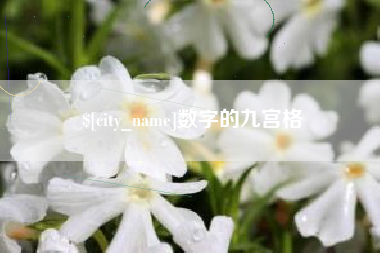 拉萨数字的九宫格