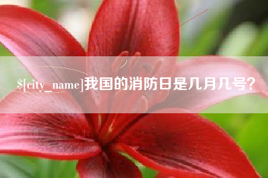 拉萨我国的消防日是几月几号？