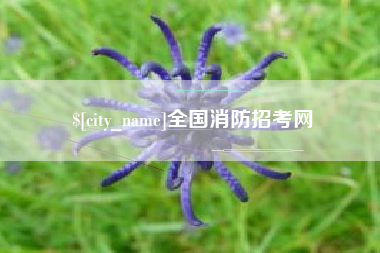 拉萨全国消防招考网