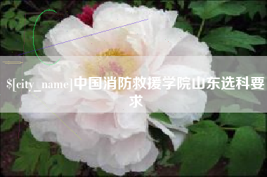 拉萨中国消防救援学院山东选科要求