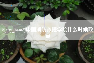 拉萨中国消防救援学院什么时候政审