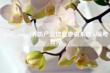 拉萨消防产品信息查询系统3c编号暂停