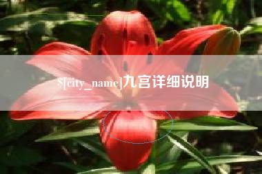 拉萨九宫详细说明