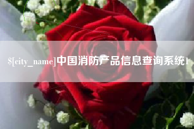 拉萨中国消防产品信息查询系统1