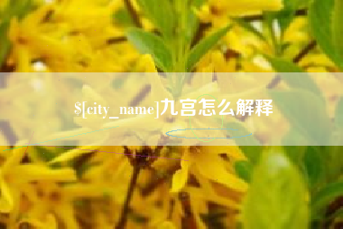 拉萨九宫怎么解释