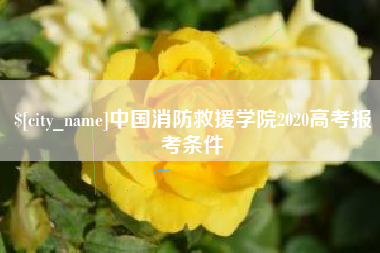 拉萨中国消防救援学院2020高考报考条件