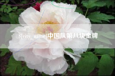拉萨中国队第八块金牌