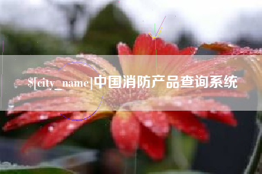 拉萨中国消防产品查询系统
