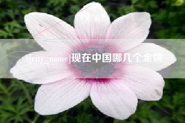 拉萨现在中国哪几个金牌
