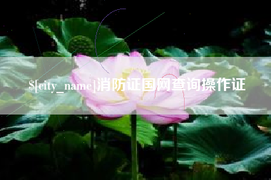 拉萨消防证国网查询操作证
