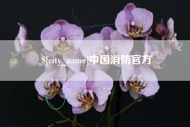 拉萨中国消防官方