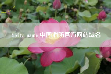 拉萨中国消防官方网站域名