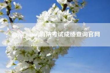 拉萨消防考试成绩查询官网