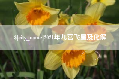 拉萨2021年九宫飞星及化解