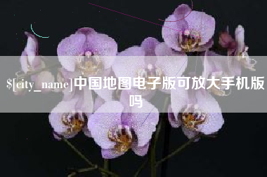 拉萨中国地图电子版可放大手机版吗