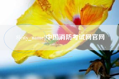 拉萨中国消防考试网官网
