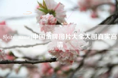 拉萨中国金牌图片大全大图真实高清