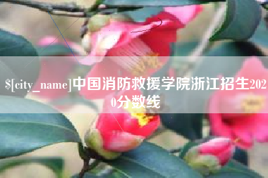 拉萨中国消防救援学院浙江招生2020分数线