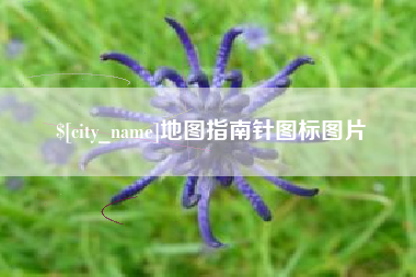 拉萨地图指南针图标图片