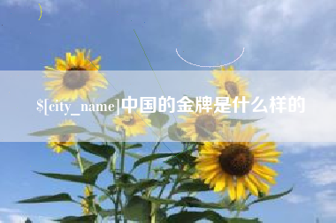 拉萨中国的金牌是什么样的