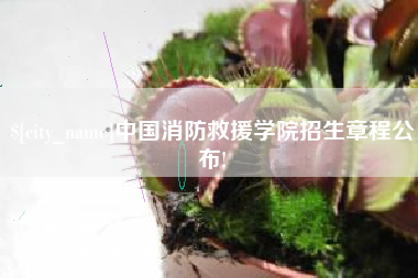 拉萨中国消防救援学院招生章程公布!