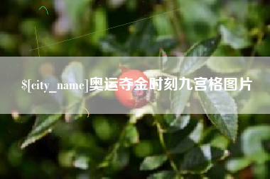 拉萨奥运夺金时刻九宫格图片