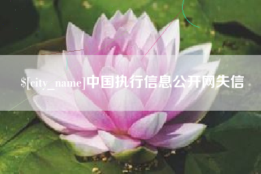 拉萨中国执行信息公开网失信