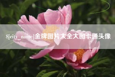 拉萨金牌图片大全大图卡通头像