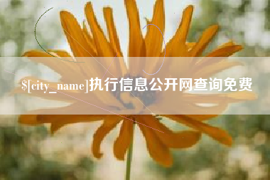 拉萨执行信息公开网查询免费