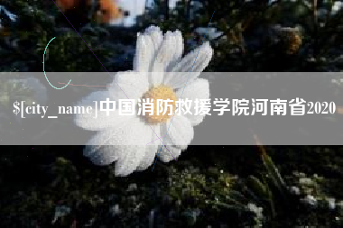 拉萨中国消防救援学院河南省2020